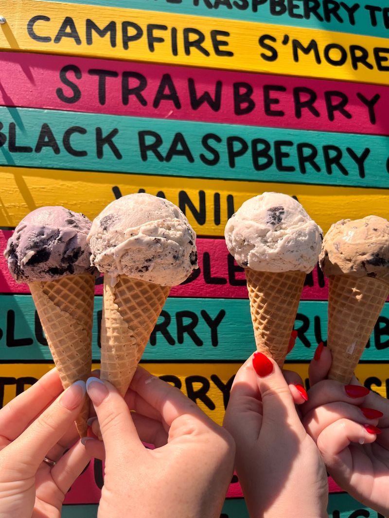 Four ice cream cones held up in front of the flavor board